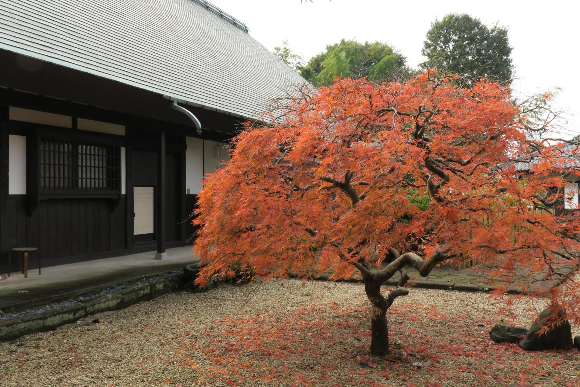 甘糟屋敷 Amakasu Yashiki Kamakura Villa Luaran gambar