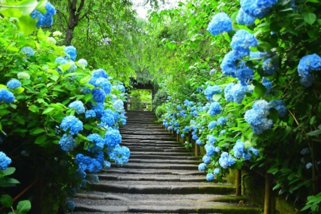 甘糟屋敷 Amakasu Yashiki Kamakura Villa Luaran gambar